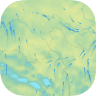 天气地图